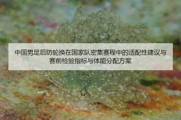 zhong-guo-nan-zu-hou-fang-lun-huan-zai-guo-jia-dui-mi-ji-sai-cheng-zhong-de-shi-pei-xing-jian-yi-yu-sai-qian-jian-yan-3-166.jpg